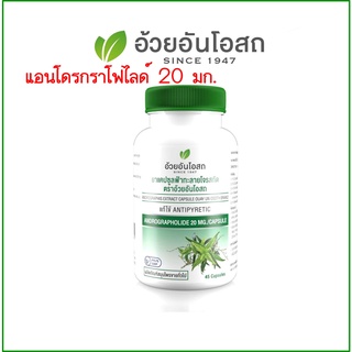 ของแท้ 💯 อ้วยอัน ฟ้าทะลายโจรสกัด มีสาร แอนโดรกราโฟไลด์ 20 มก.แก้ไข้ Antipyretic สาร Andrographis 45แคปซูล