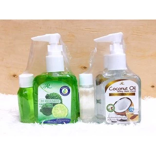 AR Silky Hair Coat ซิลกี้ แฮร์โค้ต (แพค 3 ขวด 80ml+80ml+30ml) แพค 3 ขวด สูตรมะกรูด และ น้ำมันมะพร้าว น้ำมันบำรุงผม