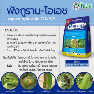 ฟังกูราน-โอเอช (Funguran-OH) พร้อมส่ง นำเข้าจากเยอรมัน ป้องกันกำจัดเชื้อราและโรคพืช สูตรทนฝน