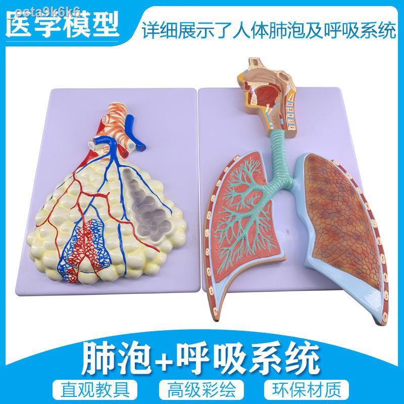 My Image 26