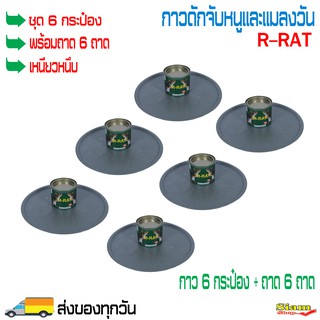 (ชุด 6 กระป๋อง + พร้อมถาด 6 ถาด) กาวดักหนูและแมลงวัน R-RAT  กาวดักหนูกระป๋อง กาวจับหนู กาวจับแมลงวัน