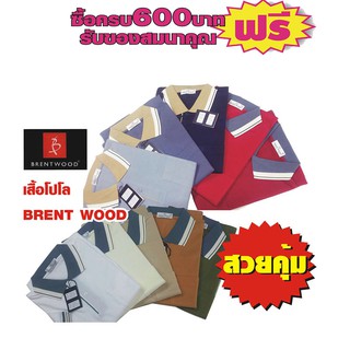 เสื้อโปโล คอปกคลิบ/แขนคลิบ 2