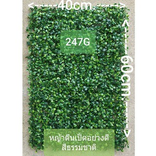 🚀ส่งเร็ว🚀 หญ้าตีนเป็ดอย่างดี สีสวยดูธรรมชาติ จัดสวนแนวตั้ง บังผนัง ทำฉากกั้น ตกแต่งบ้าน *กรุณาอ่านรายละเอียดก่อนสั่ง