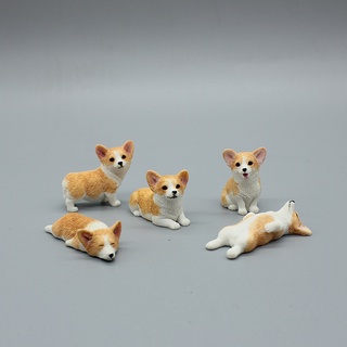 กาชาปองสัตว์ กาชาปอง โมเดล หมา คอร์กี้ สัตว์ Gashapon Corgi cocky dog model Simulation Animal Gacha Doll Model