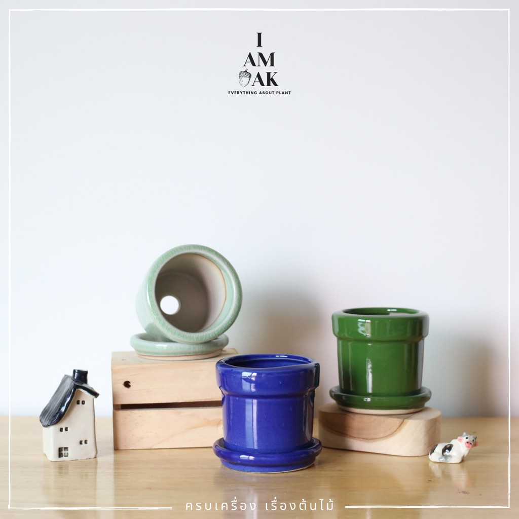 มุมมอง 2