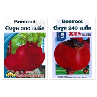 เมล็ดพันธุ์ บีทรูท Beetroot สายพันธุ์OP มี 2 แบบให้เลือกค่ะ