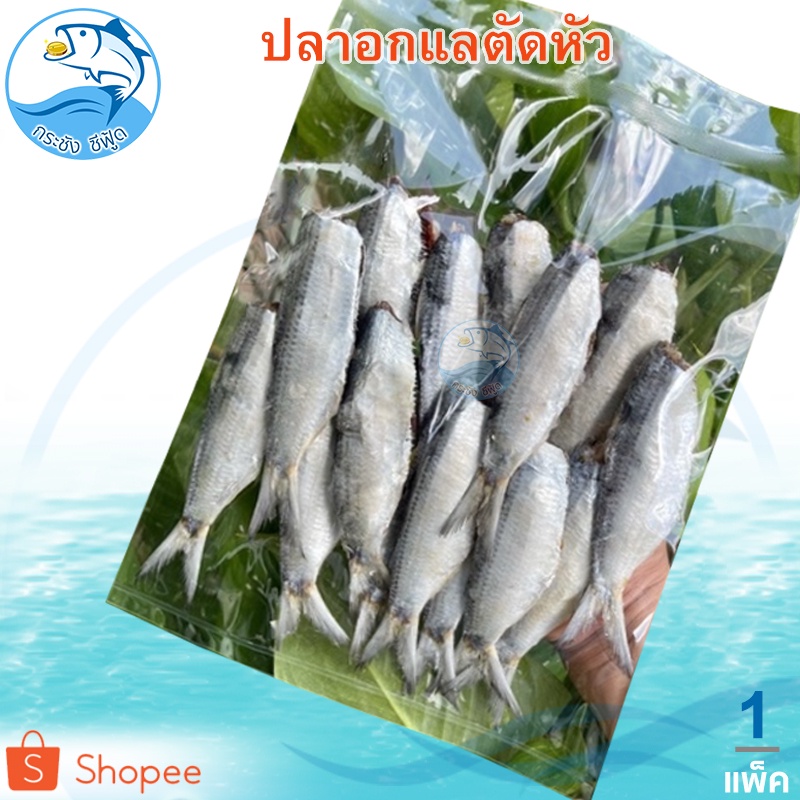 ปลาอกแลตัดหัว 380กรัม 1แพ็ค ปลาอกแล ปลาอกแล้ ปลากุแล ปลากูแล ปลากุแลแห้ง ปลาหลังเขียว ปลาเค็ม