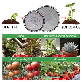 ไฟช่วยต้นไม้ตัวเร็ว AC220V Full Spectrum Grow Light LED 200W UFO กันน้ำ ไม่กลัวฝนและหมอก ไฟเลี้ยงต้นไม้โตเร็ว2เท่า