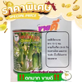 แตงกวาโดนัท 999 สีเขียวนวล ดก ทนโรค มีให้เลือก 2 ขนาด🥒🥒