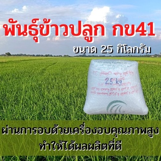 พันธุ์ข้าวปลูก กข41 เมล็ดพันธุ์ ข้าวปลูก กข41 เมล็ดพันธุ์ข้าว พันธุ์ข้าว กข.41 ให้ผลผลิตดี (25 กิโล)