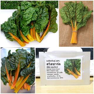 เมล็ดพันธุ์ สวิสชาร์ด สีส้ม (Orange Swiss Chard Seed) บรรจุ 50 เมล็ด คุณภาพดี ราคาถูก ของแท้ 100%