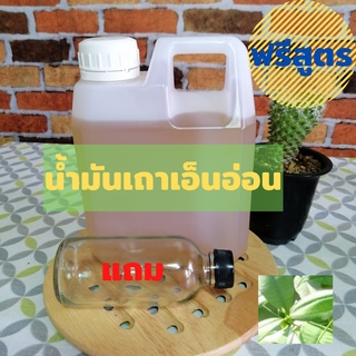 น้ำมันเถาเอ็นอ่อน เกรด A ขนาด 1 ลิตร แถมฟรีขวดแก้ว ขนาด 100 …