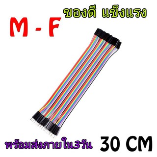 DIY แอมป์จิ๋ว ราคาถูก ย้ายโวลุ่ม สายจัมเปอร์ 1ชุด40เส้น ยาว30cm 2.54mm 1p-1p Pin ฃ Cable Jump Wire Jumper