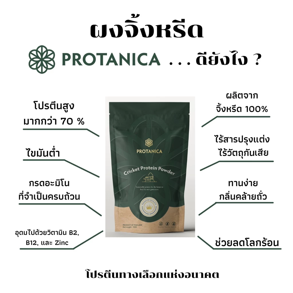 Protanica ผงโปรตีนจิ้งหรีด Cricket Protein Powder thumbnail 3