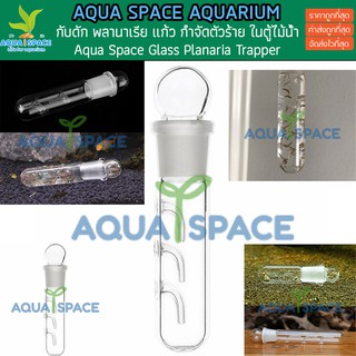 ที่ดักพลานาเรีย Aqua Space Glass Planaria Traper สำหรับตู้ไม้น้ำ ตู้ปลา พลานาเรียตัวร้าย