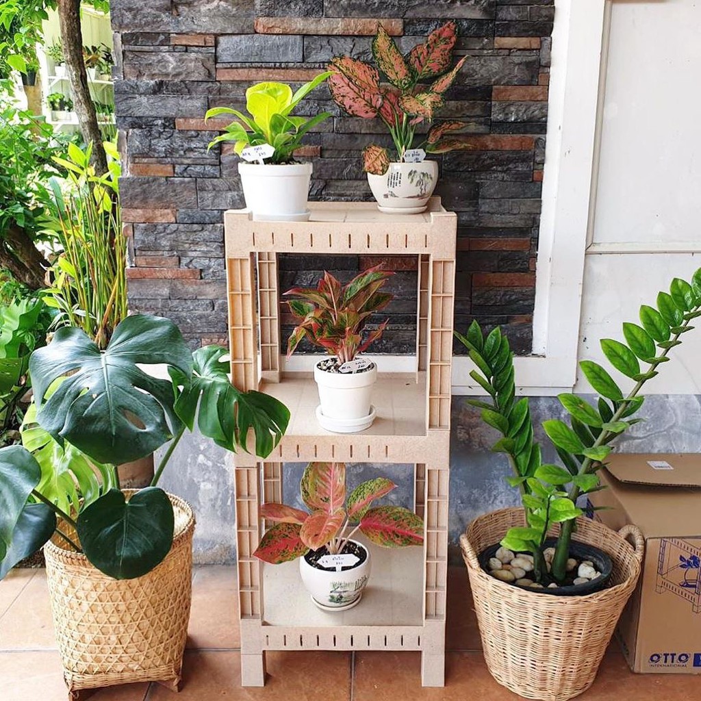 OTTO ชั้นวางต้นไม้ 3 ชั้น Woody Shelf ทรงจัตุรัส - รูปที่ 5