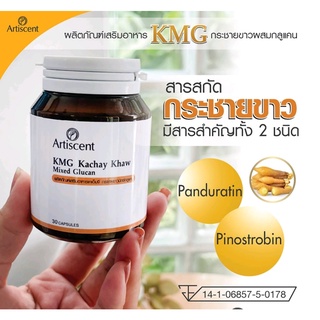 KMG KACHAY KHAW MIEXED GLUCAN / เคเอ็มจี กระชายขาว มิกซ์กลูแคน Artiscent