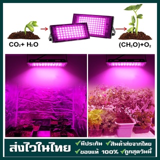 220V Full Spectrum LED Grow Light 50W/100W ไฟปลุกต้นไม้ ไฟช่วยต้นไม้ตัวเร็ว มีสวิตช์ปิดเปิด สายไฟยาว1.5โมตร