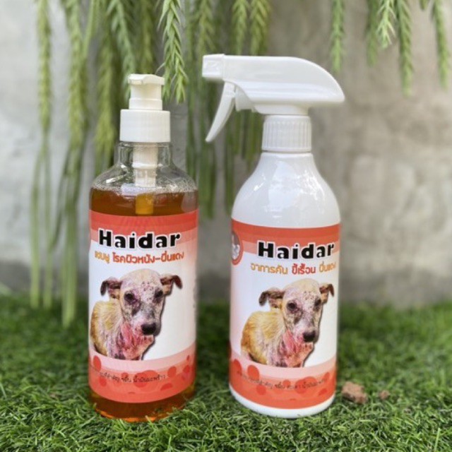 Haidar แชมพู เเละสเปรย์ เเก้ขี้เรื้อน ผื่นเเดง คัน เซ็ทคู่ สุดคุ้ม