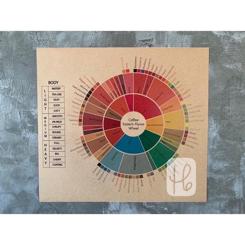 Coffee flavour wheel---A4