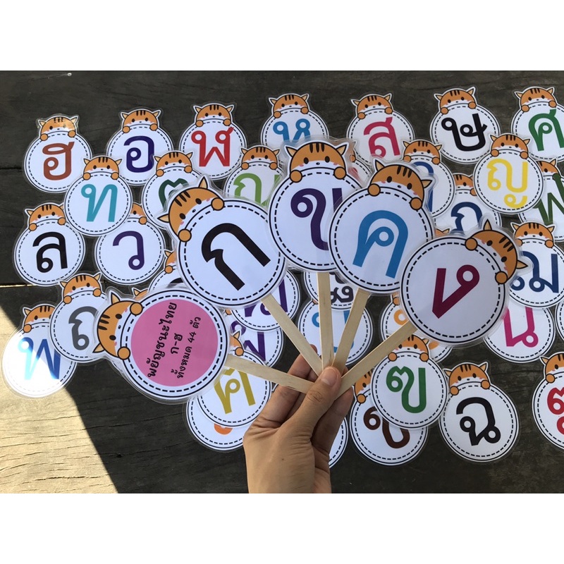 สื่อการสอนภาษาไทย พยัญชนะ ก-ฮ พร้อมส่ง