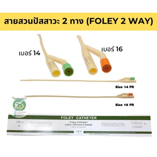 สายสวนปัสสาวะ Foley catheter 2 WAY 30 ML.ยี่ห้อ Star(14 FR./16 FR.) ขายเป็นเส้น