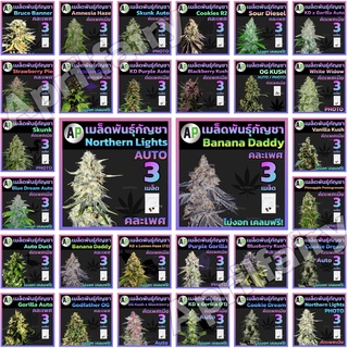 ♀️คัดเพศเมีย เมล็ดพันธุ์กัญชา Auto / Photo กอลิล่า/ OG Kush/ Blue Dream/ Skunk/ AK 47/ Vanilla / KD เกาะเต่า / Godfather