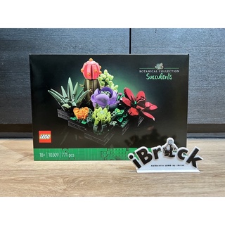 LEGO 10309 Succulents