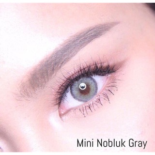 Mini nobluk gray