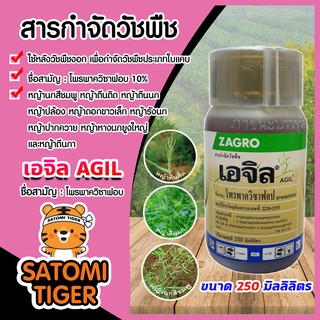 เอจิล ขนาด 250 มิลลิลิตร (propaquizafop)โพรพาควิซาฟอบ ใช้กำจัดวัชพืชใบแคบ กำจัดหญ้านกสีชมพู หญ้าตีนติด หญ้าตีนนก