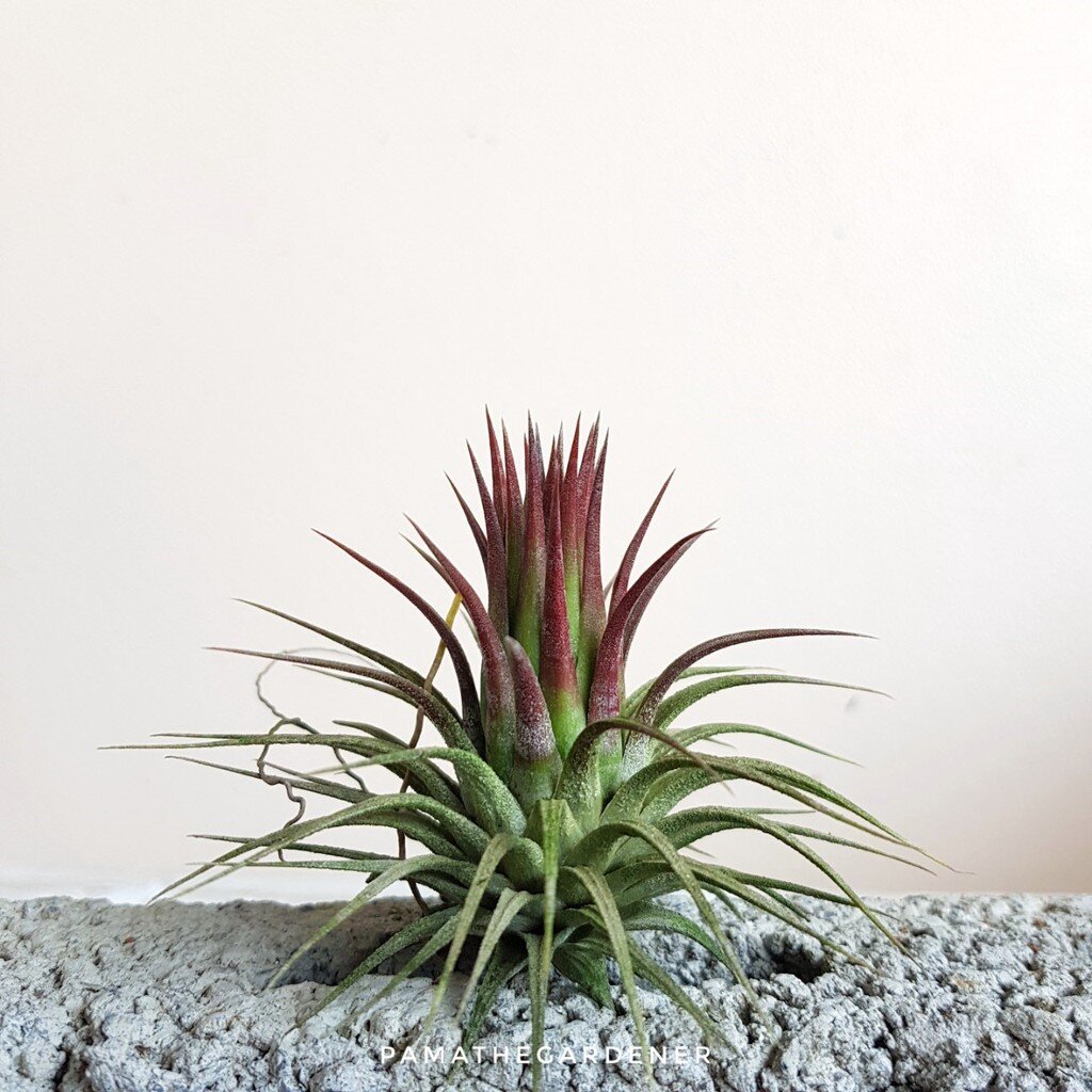 มุมมอง 2