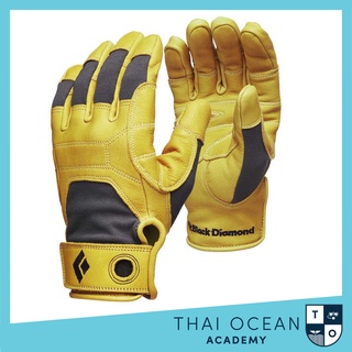 💯Black Diamond Transition Gloves ถุงมือเต็มใบ ยี่ห้อแบล็กไดมอนด์👍💯