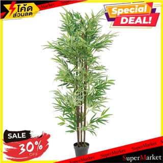 ต้นไผ่ประดิษฐ์ LALA HOME 150 ซม. ต้นไม้ประดิษฐ์ ARTIFICIAL BAMBOO LALA HOME 150CM อุปกรณ์ตกแต่งสวน