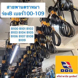 สายพานตราหมา ร่องB เบอร์100-109 / B100, B101, B102, B103, B104, B105, B106, B107, B108, B109