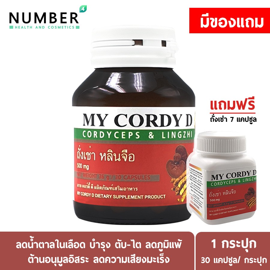 My cordy d มายคอร์ดี้ดี ถั่งเช่าธิเบตแท้