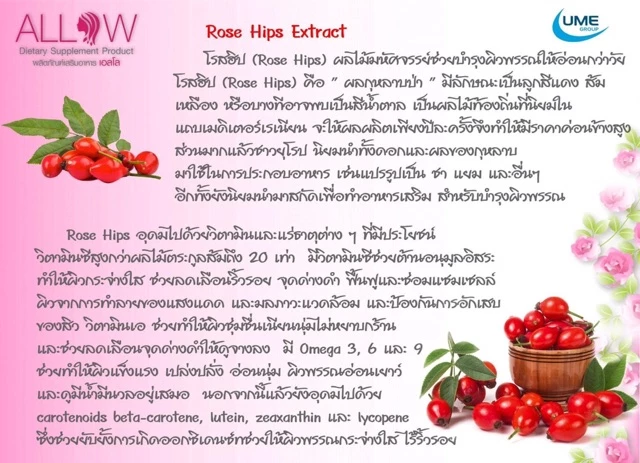 Allow สเต็มเซลล์รกกุหลาบจากญี่ปุ่น thumbnail 8