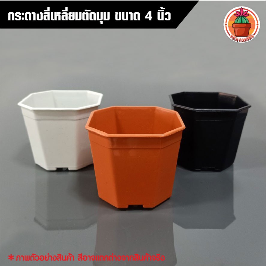 PPM กระถางสี่เหลี่ยมตัดมุม ขนาด 4 นิ้ว สำหรับแคคตัสและไม้อวบน้ำ จัดวางง่าย