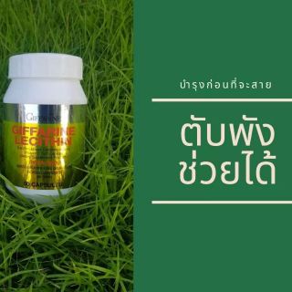 *โปรส่งฟรี* เลซิติน บำรุงตับ กิฟฟารีน : LECITHIN 60 CAP