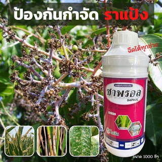 ซาพรอล ไตรโฟรีน(Triforine) 19% EC สารป้องกันกำจัดโรคพืช ใบไหม้ จุดดำ ราแป้ง ขนาด  1 ลิตร