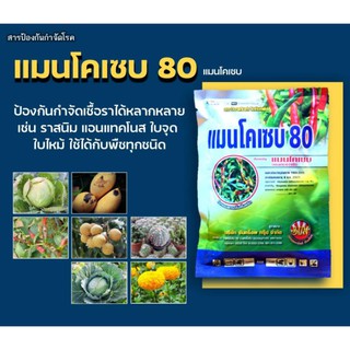 แมนโคเซบ 80 เนื้อสีเหลือง สารกำจัดโรคพืช ขนาด 100 กรัม