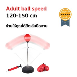 อุปกรณ์ชกมวย Adult ball speed 120-150 cm (เป้าชกมวย) (ส่ง​เร็ว​ ส่งจากไทย)