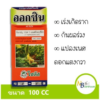 (100 cc) ออกซิน กระตุ้นการเกิดราก และเเปลงเพศดอก  0040