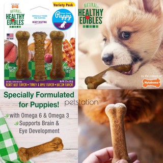 Nylabone Chew Treats ของเล่น ขนมขัดฟัน