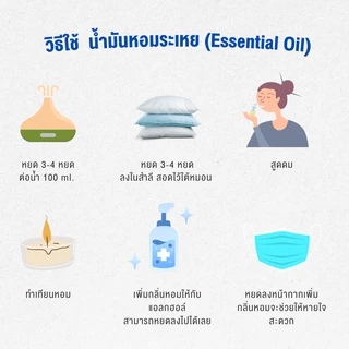 น้ำมันหอมระเหย (essential oil) 10 ml. - 30 ml. ยูคาลิปตัส ลาเวนเดอร์ เปปเปอร์มินต์ น้ำหอมอโรม่า น้ำหอมใส่เครื่องพ่นไอน้ำ