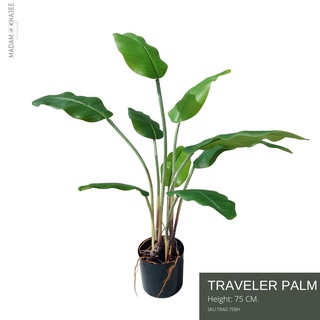 Traveler Palm - Height 75 cm ต้นทราเวลเล่อปาล์ม ความสูง 75ซม.ต้นไม้ปลอมเกรดพรีเมี่ยมเพื่อการตกแต่ง