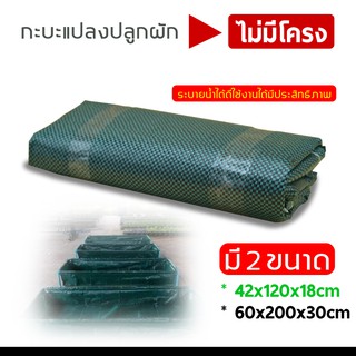 กะบะปลูกผัก แปลงปลูกผัก ระบายน้ำได้ดีพืชโตเร็วได้ผลผลิตสูง 42x120x18ซม.