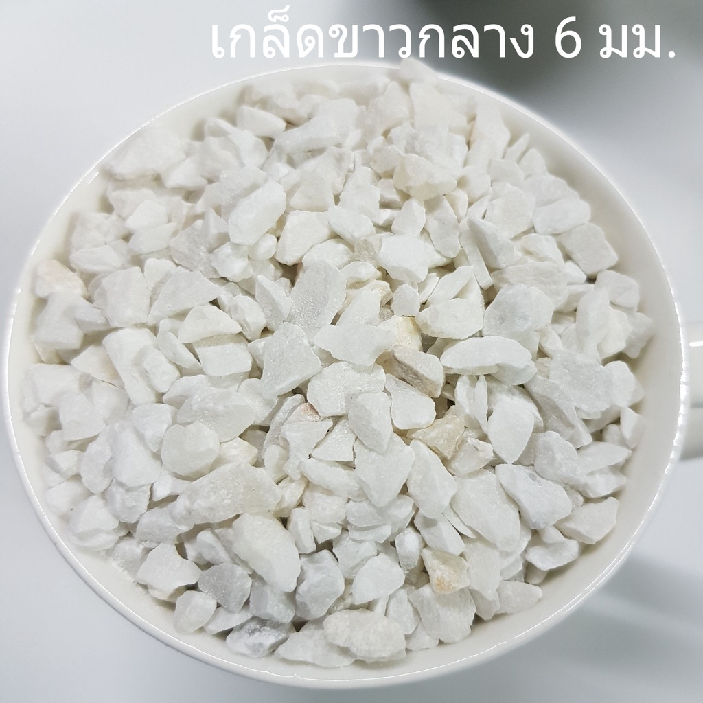 หินตกแต่งตู้ปลา หินโรย ราคา ถูกที่สุด ดีลบีเคเค แกลเลอรีภาพที่ 8