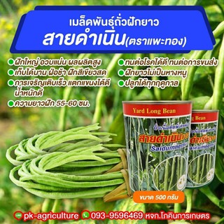 เมล็ดพันธุ์ถั่วฝักยาว สายดำเนิน ตราแพะทอง ขนาด 500 กรัม