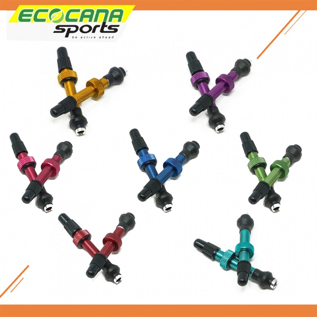 INDUSTRY NINE TORCH MOUNTAIN BIKE TUBELESS VALVES