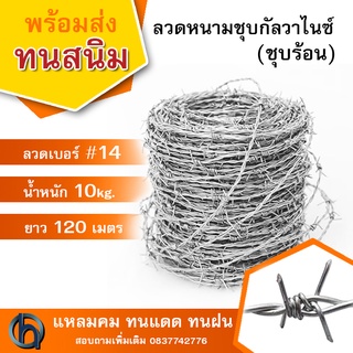 ลวดหนามชุบกัลวาไนซ์(ชุบร้อน) #14 น้ำหนัก 10kg. ยาว120เมตร ทนสนิม ทนฝน ลวดหนามล้อมสนาม ล้อมรั้ว Galvanized Barbed Wire